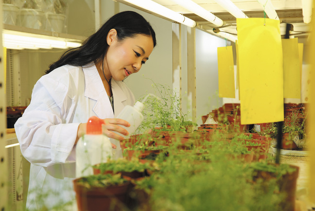 廖紅：發掘根對土壤的情誼